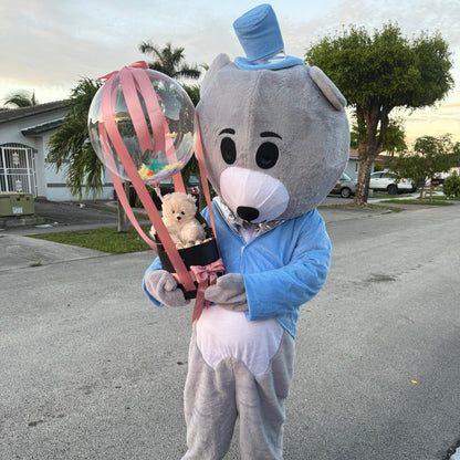 Gift Delivery with Bears (Local)